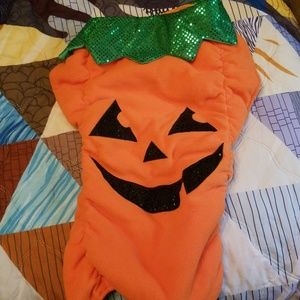 Dog Halloween costume